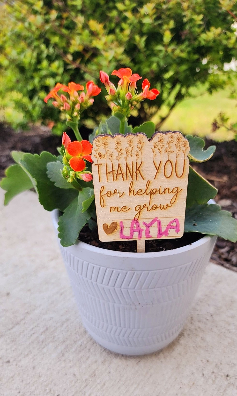 Thanks for helping me Grow plant Marker