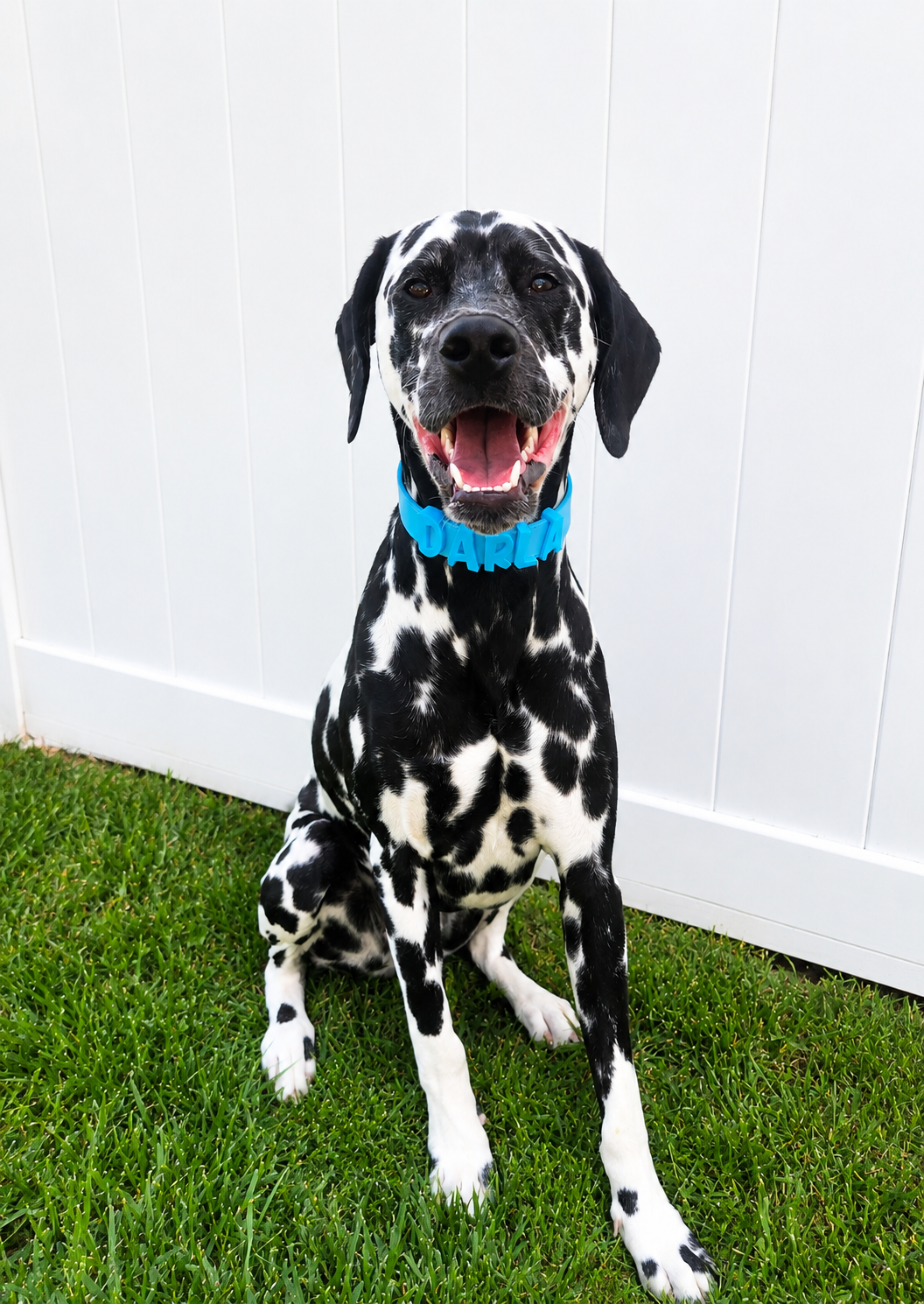Dog Chunky Letter Name Collar