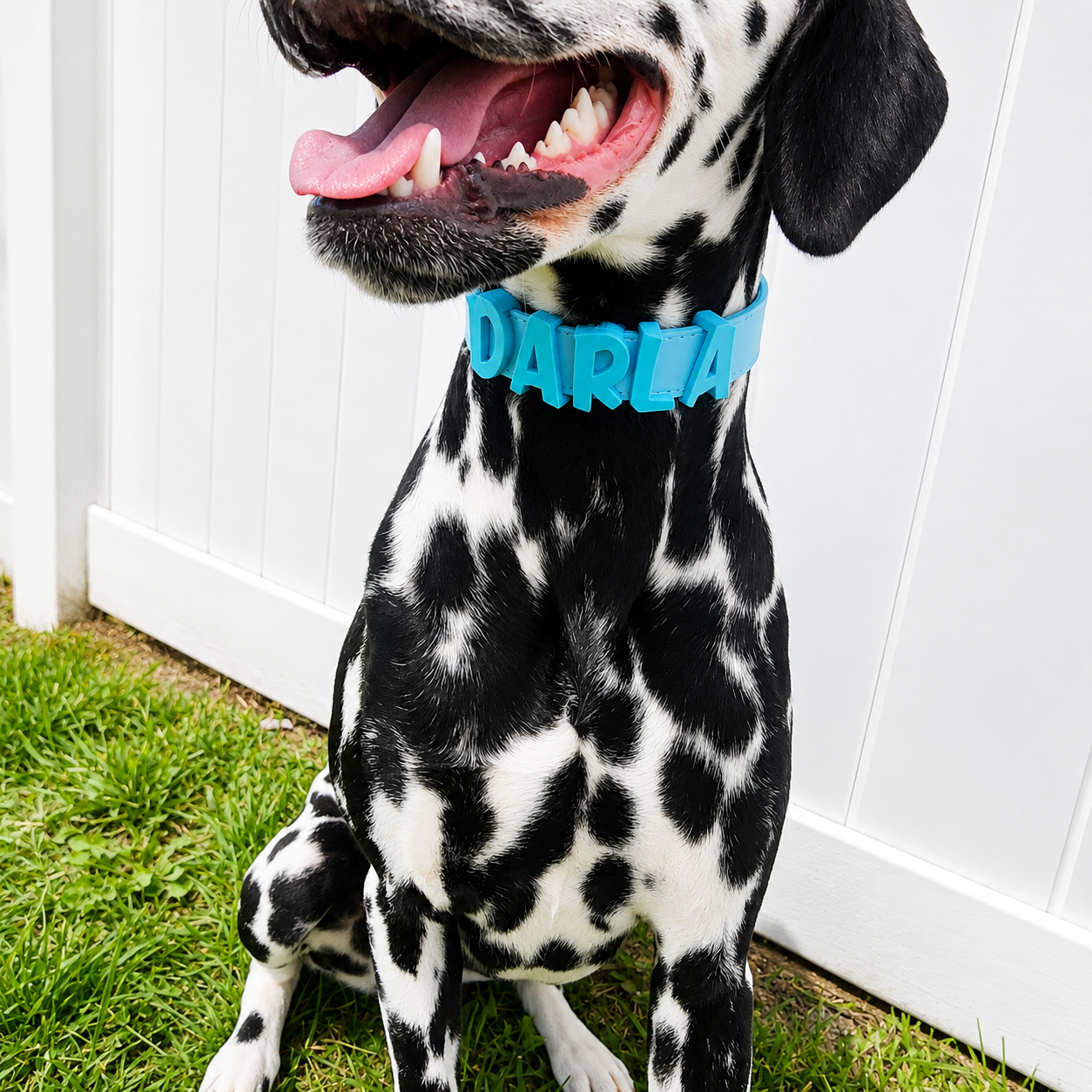 Dog Chunky Letter Name Collar