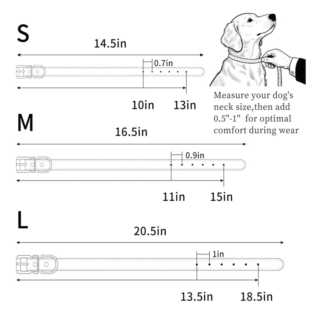 Dog Chunky Letter Name Collar